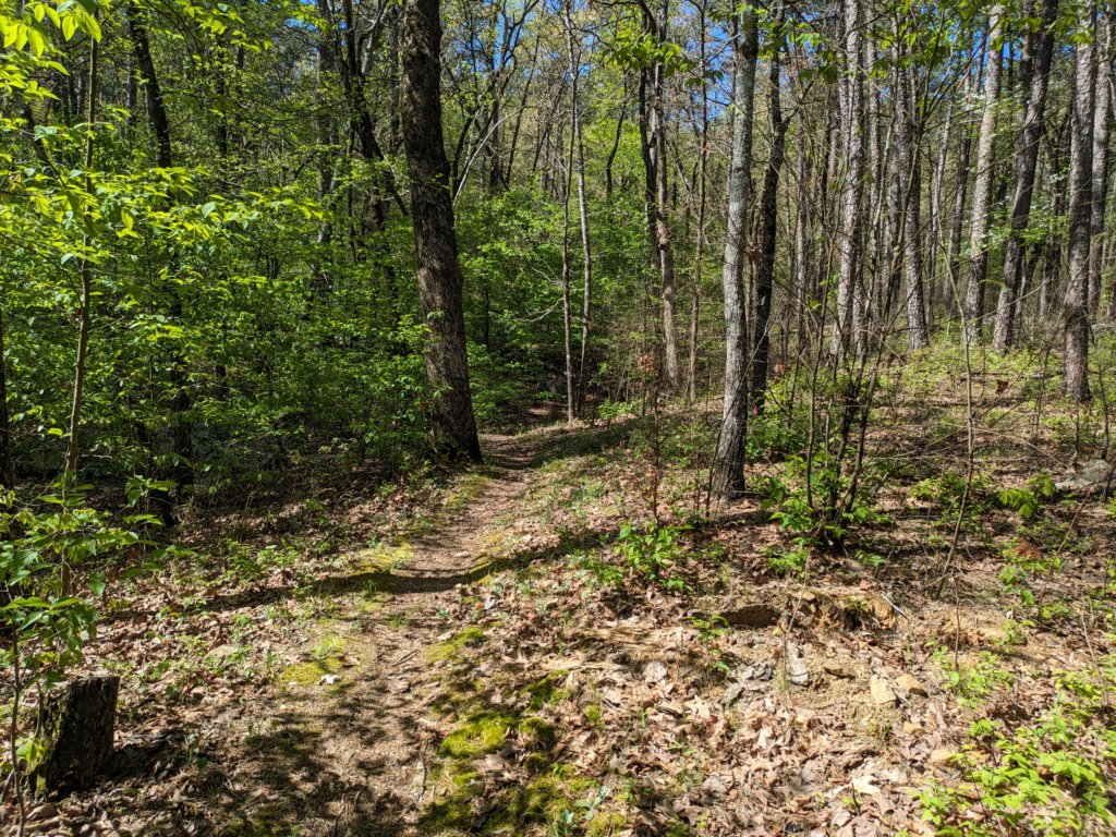 pxl_20240413_155626339.jpg