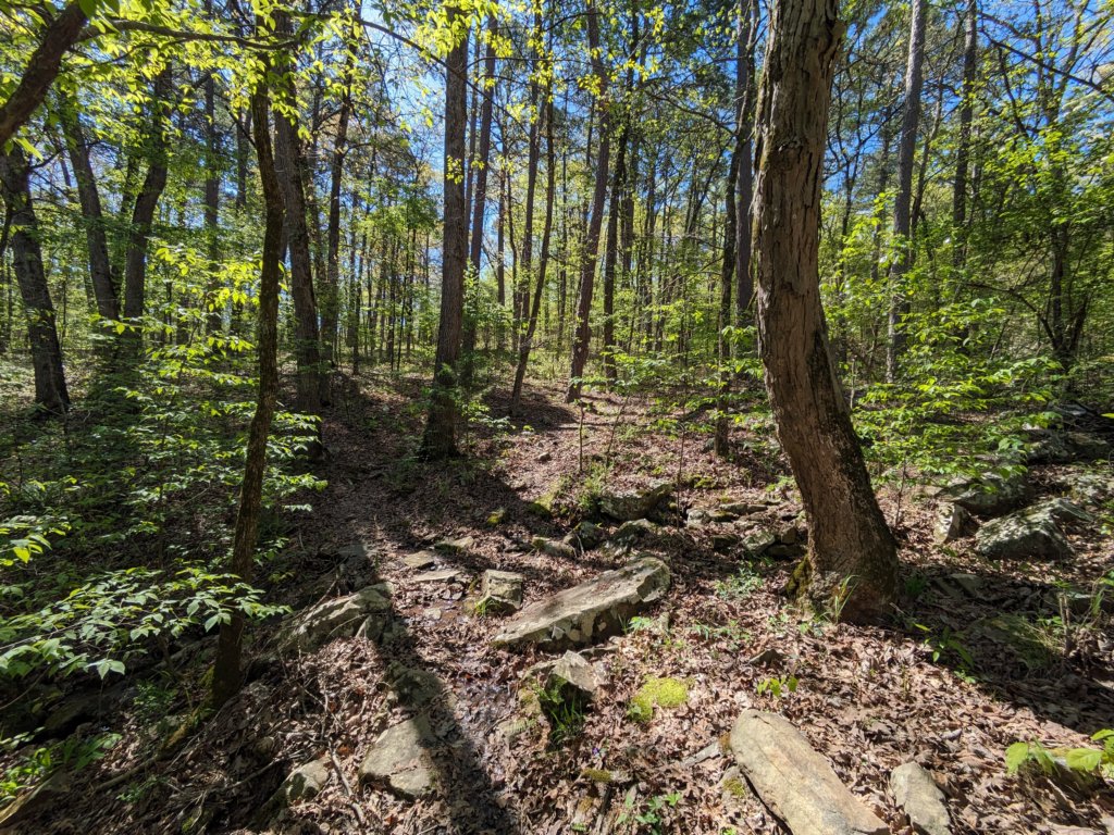 pxl_20240413_155932289.jpg