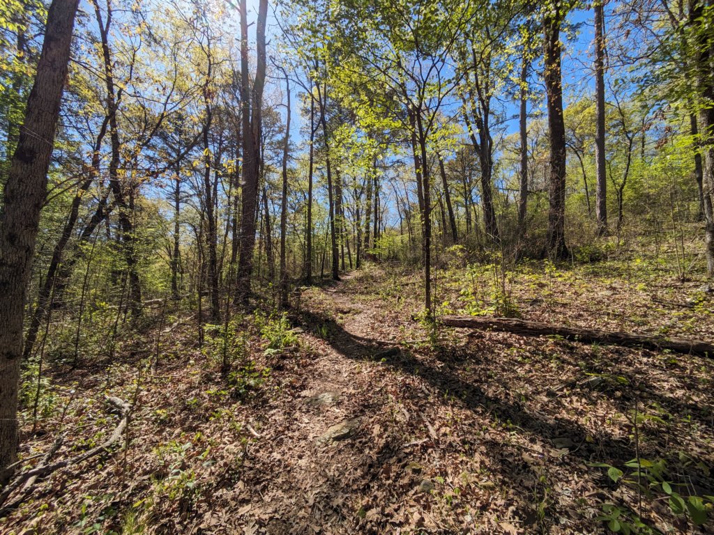 pxl_20240413_160116661.jpg