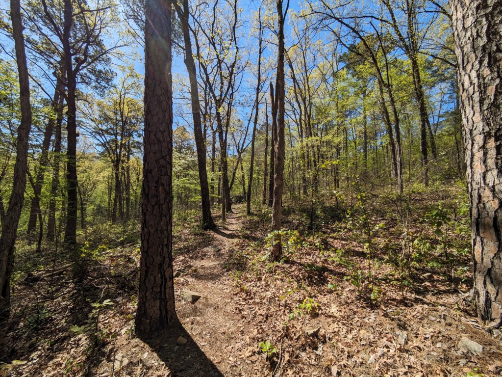 pxl_20240413_160201441.jpg