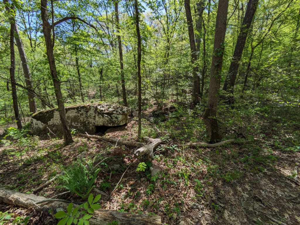 pxl_20240413_160400346.jpg