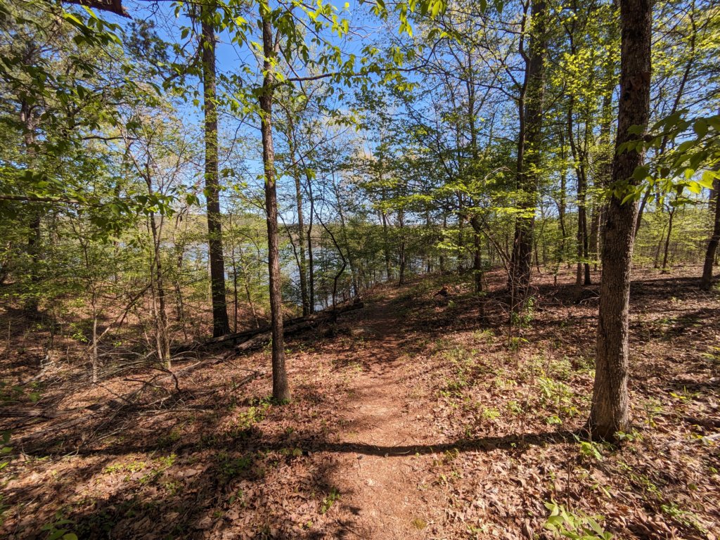 pxl_20240413_160831519.jpg