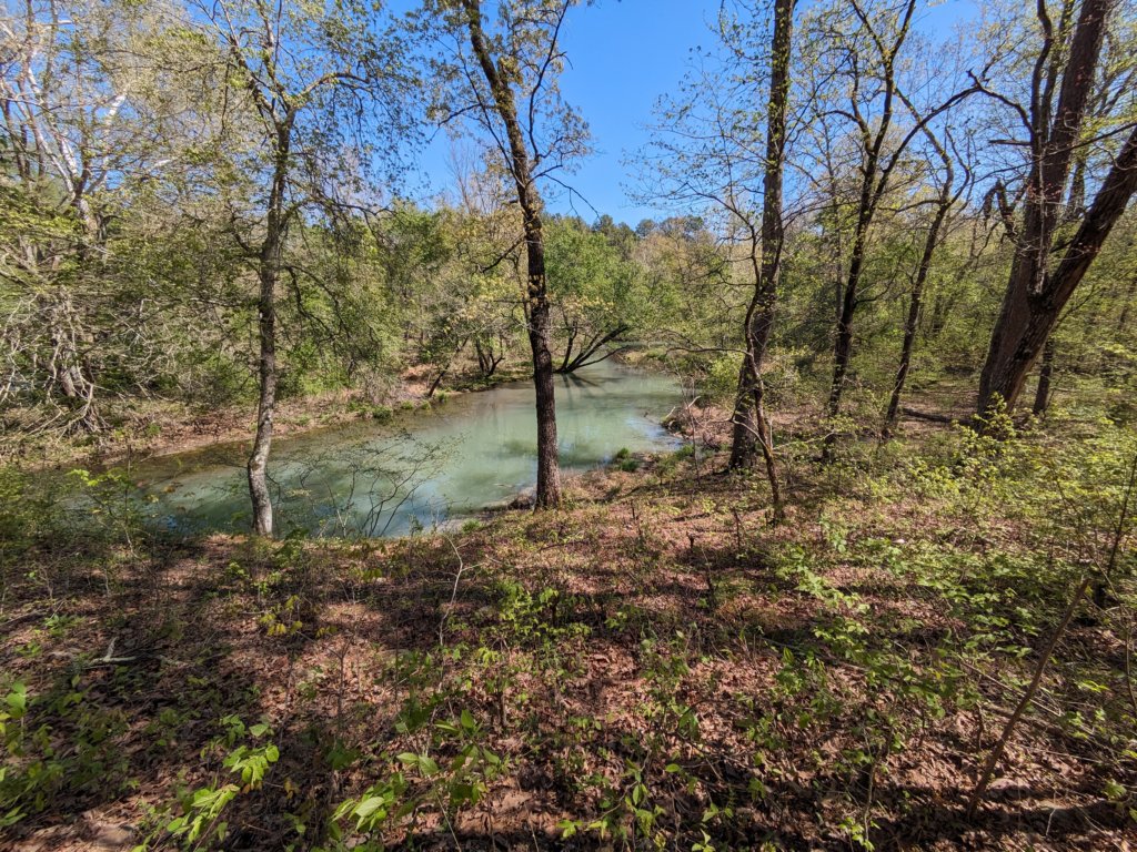 pxl_20240413_161455234.jpg