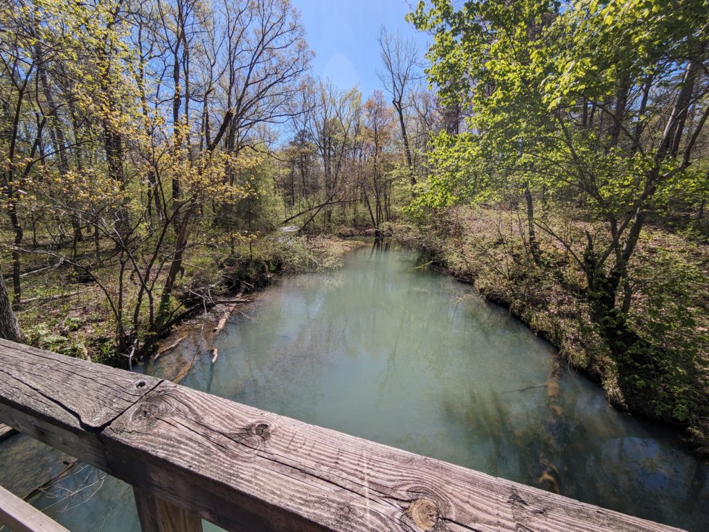 pxl_20240413_161751214.jpg