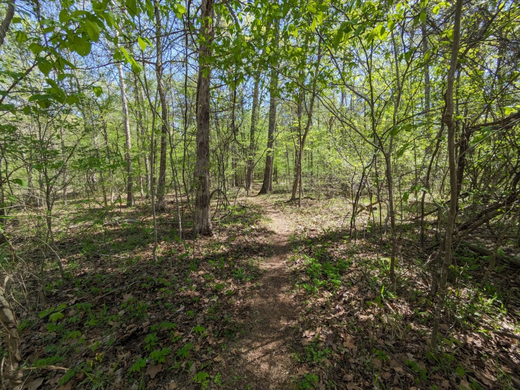 pxl_20240413_161831496.jpg