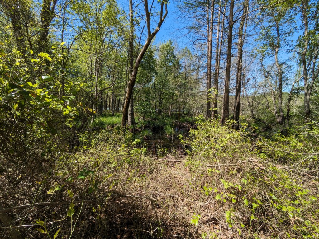 pxl_20240413_162712949.jpg
