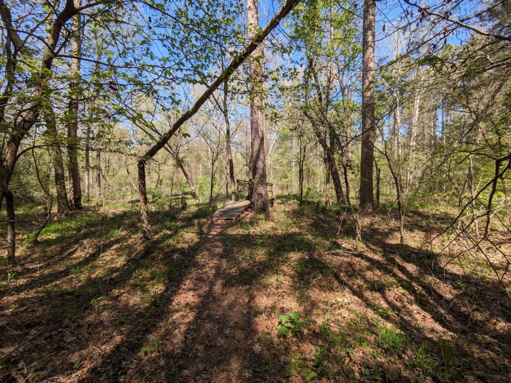 pxl_20240413_164309834.jpg