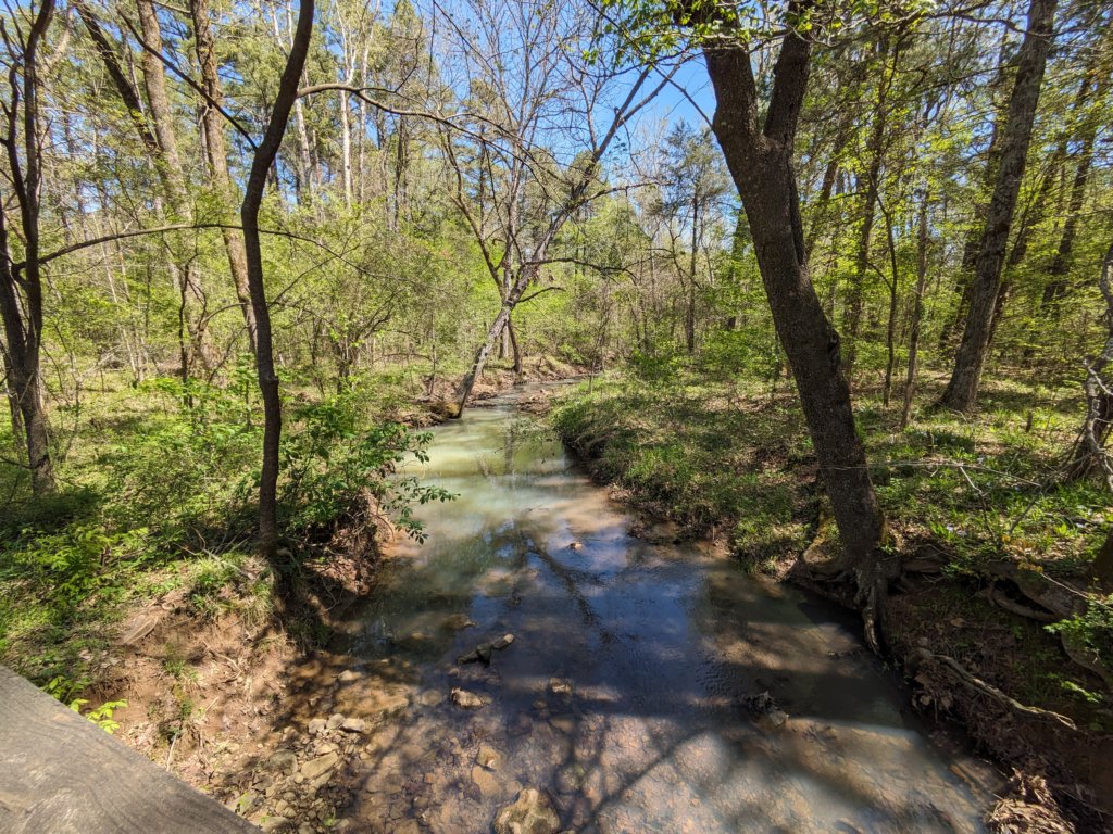 pxl_20240413_164338516.jpg