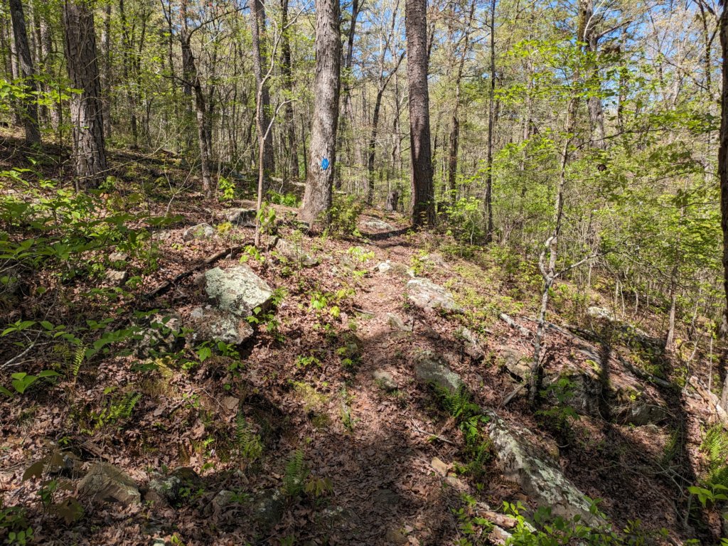 pxl_20240413_170212539.jpg