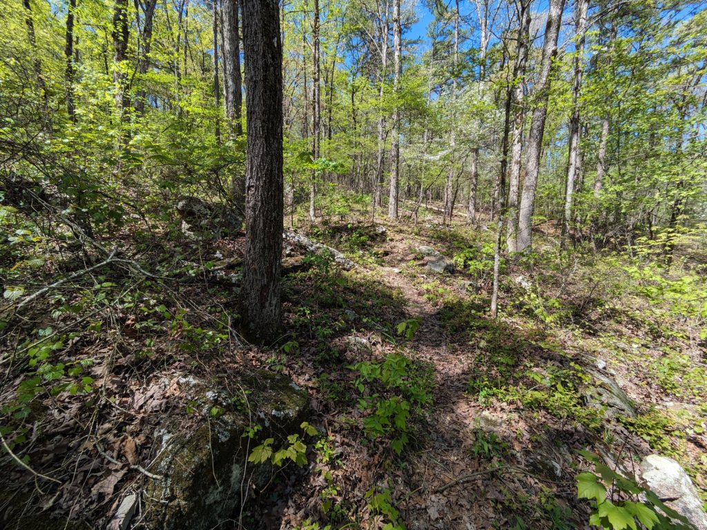 pxl_20240413_170427693.jpg