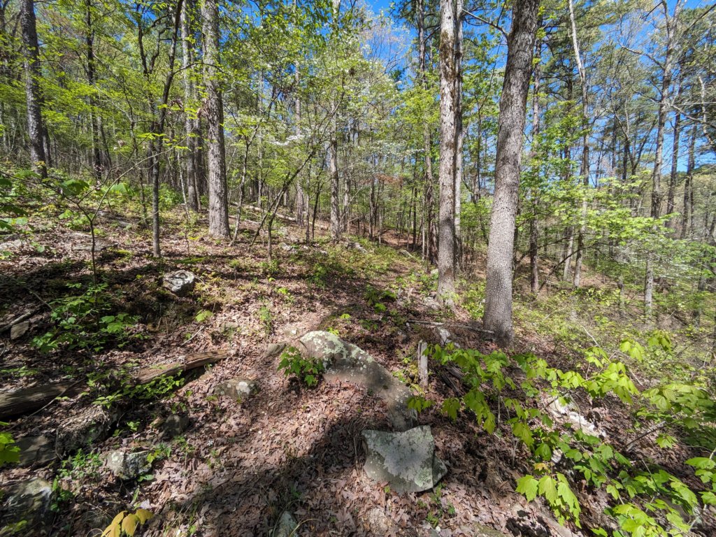 pxl_20240413_170440854.jpg