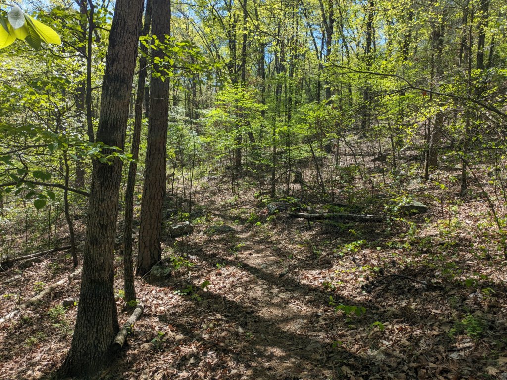pxl_20240413_171001960.jpg