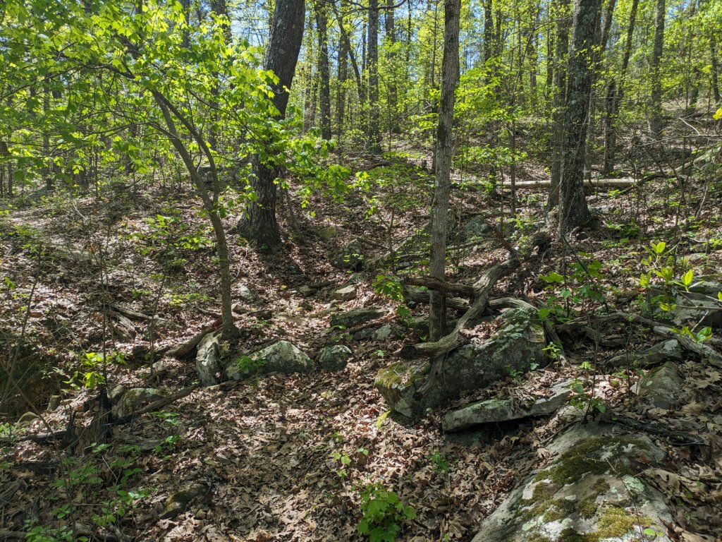 pxl_20240413_171101600.jpg