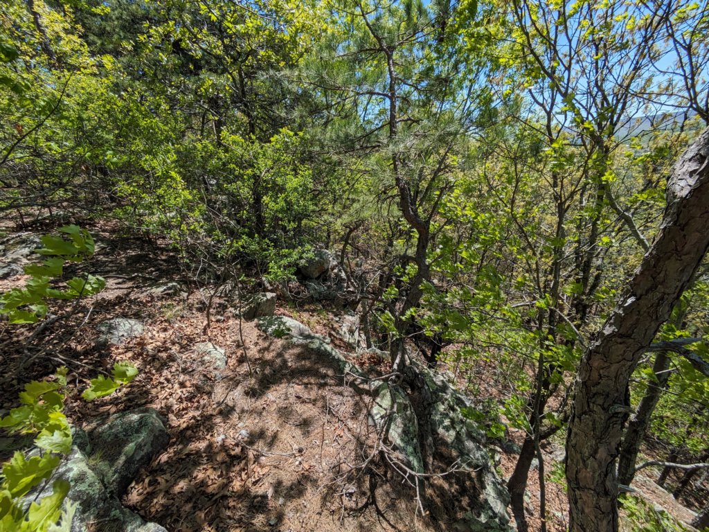 pxl_20240413_172025091.jpg