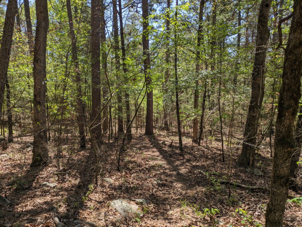 pxl_20240413_174420079.jpg