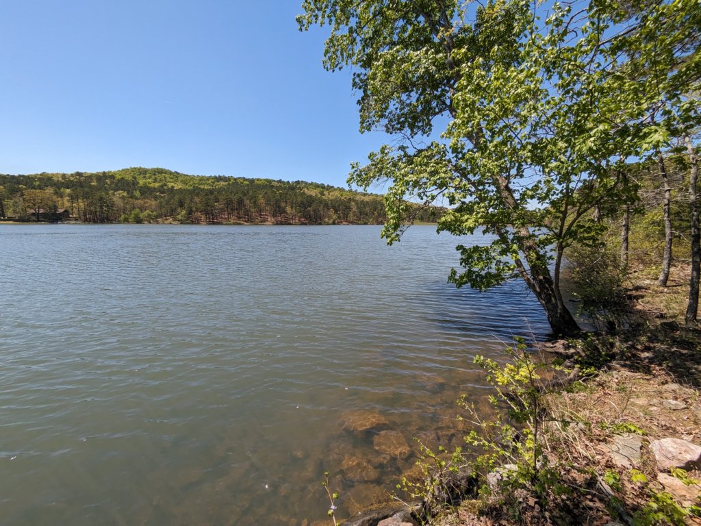 pxl_20240413_174737484.jpg
