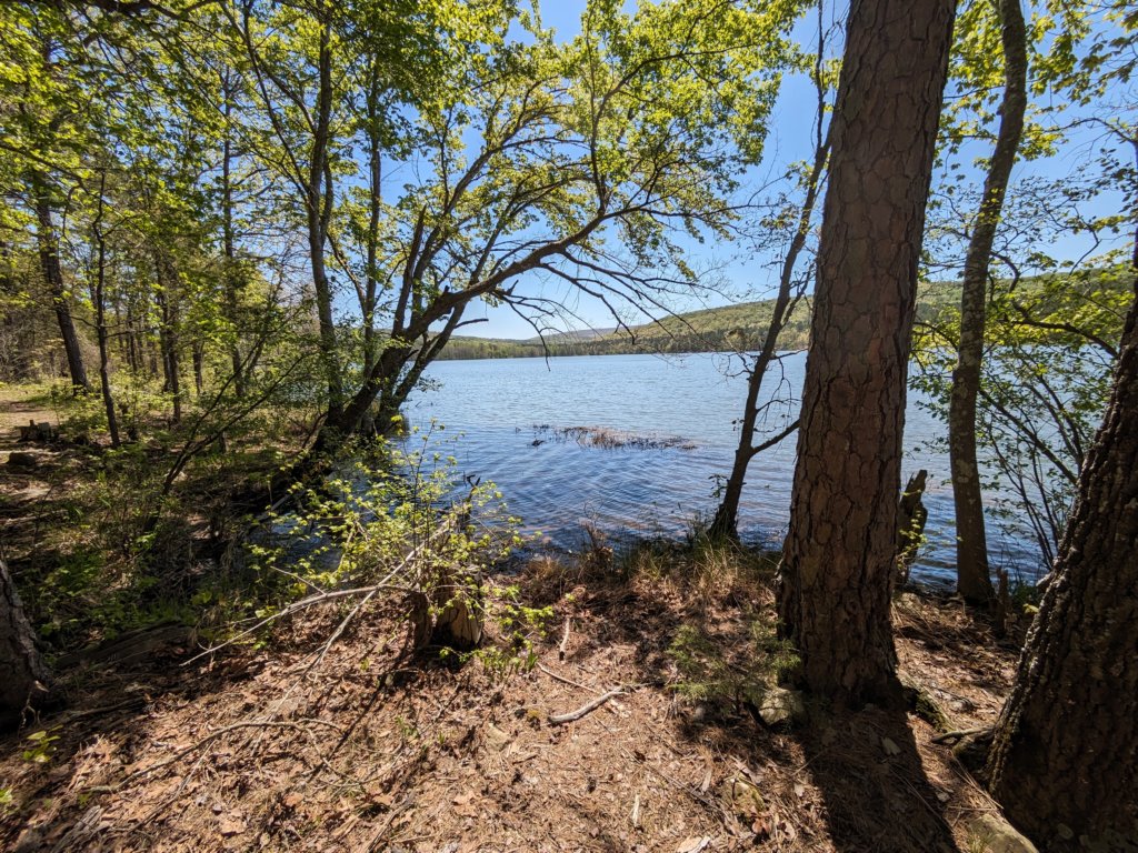 pxl_20240413_174947428.jpg