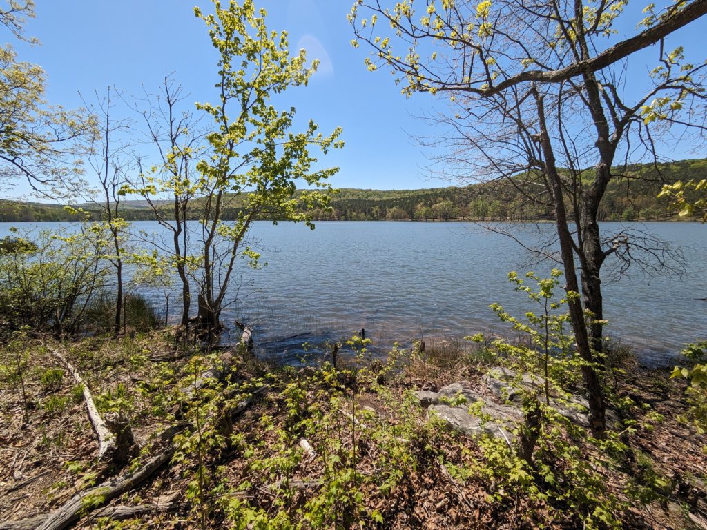 pxl_20240413_175021013.jpg