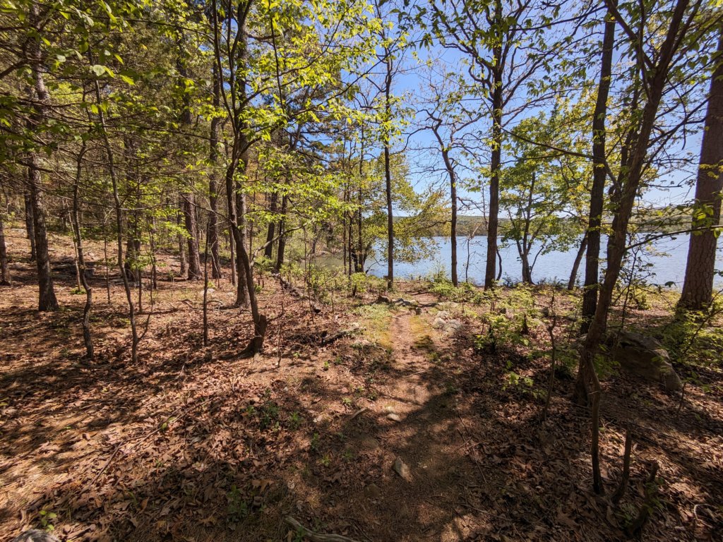 pxl_20240413_175106582.jpg