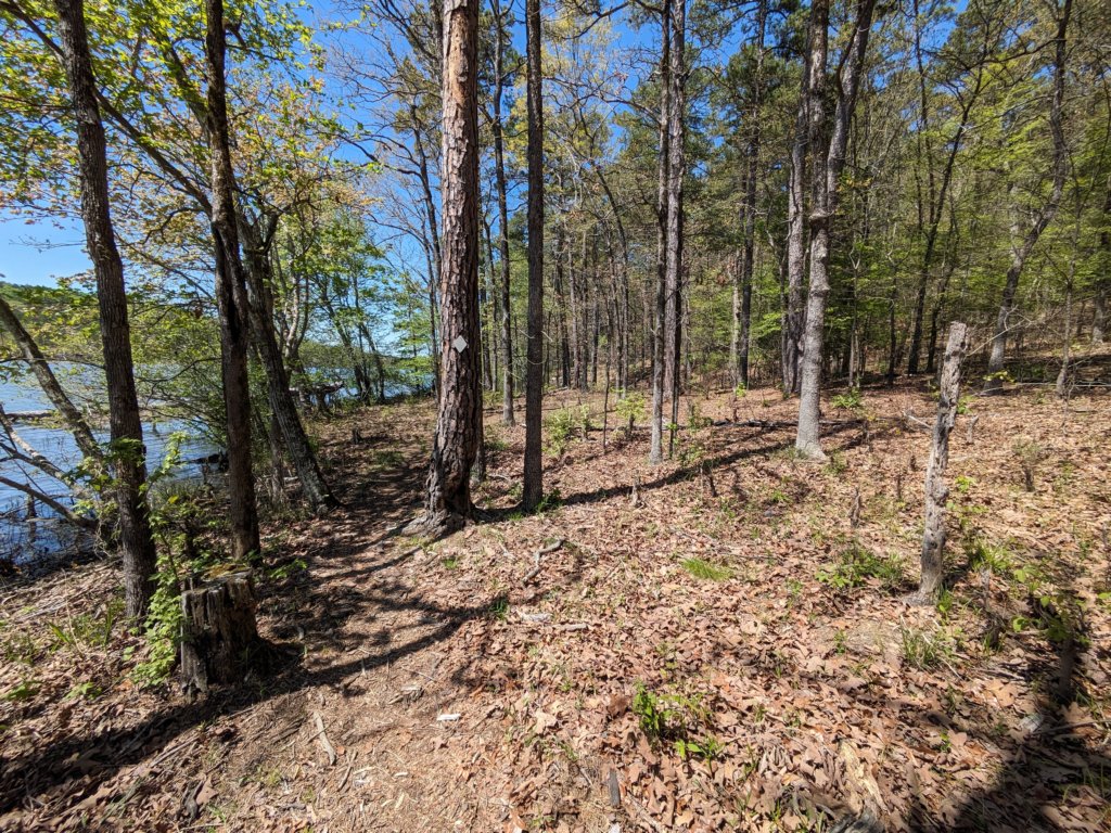 pxl_20240413_181020826.jpg