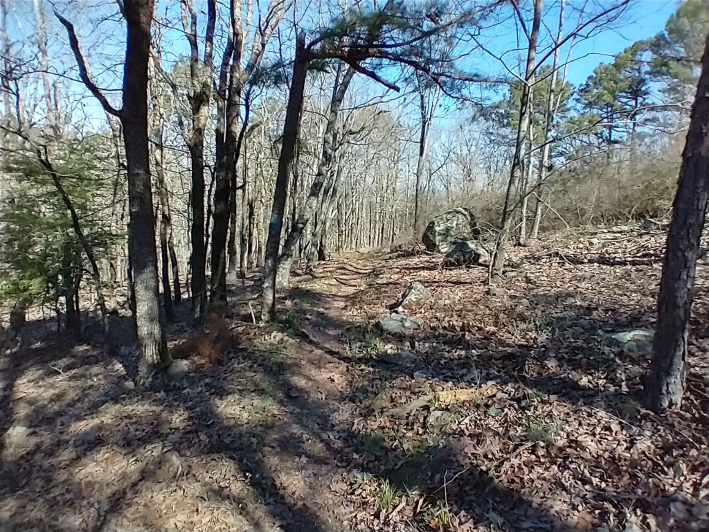img_20230401_101944647_hdr.jpg