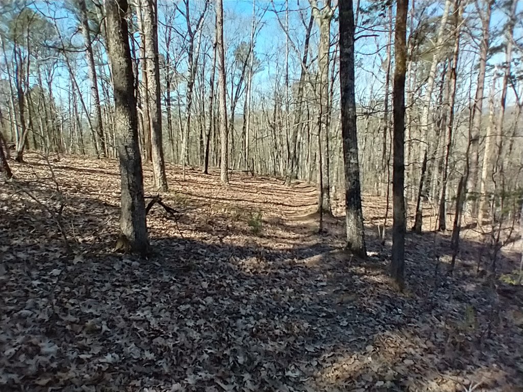img_20230401_102125719_hdr.jpg
