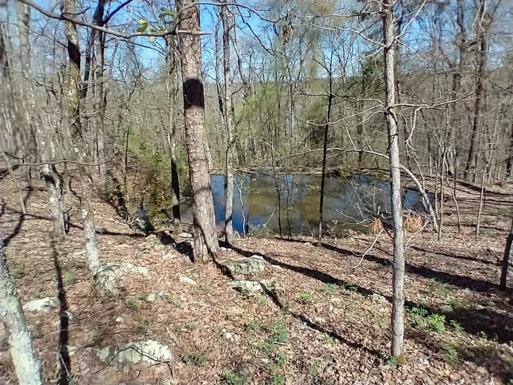 img_20230401_102910281_hdr.jpg