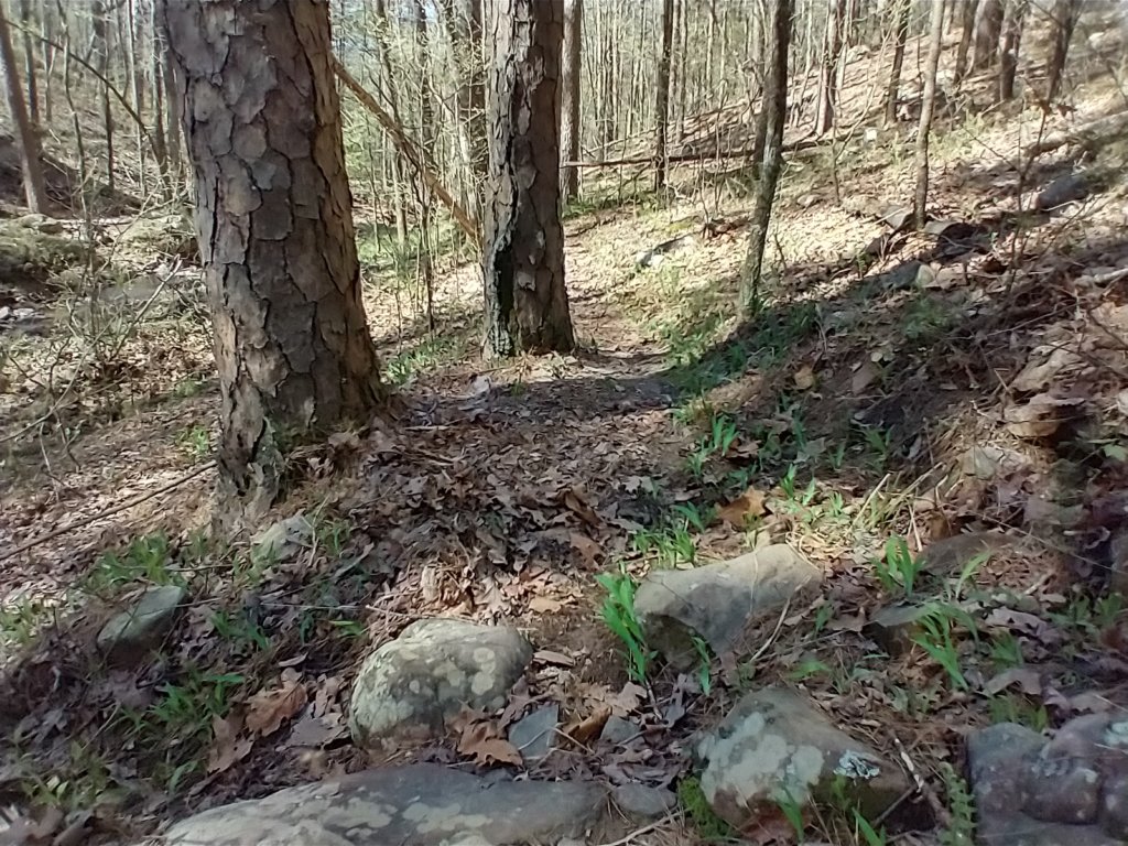 img_20230401_105313421_hdr.jpg