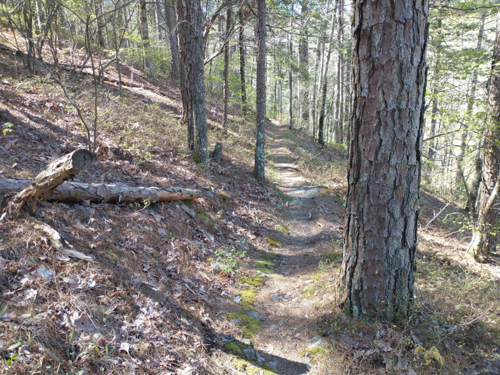 img_20230401_110741573.jpg