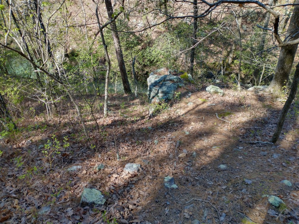 img_20230401_110953931_hdr.jpg