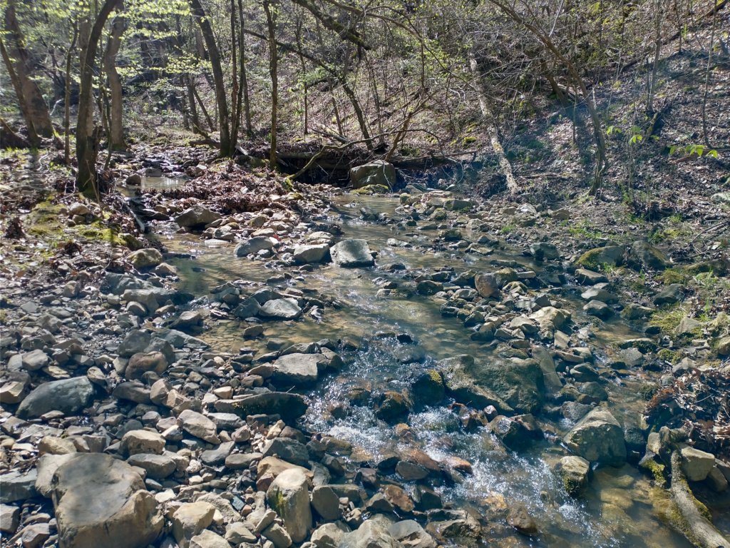 img_20230401_112046057_hdr.jpg