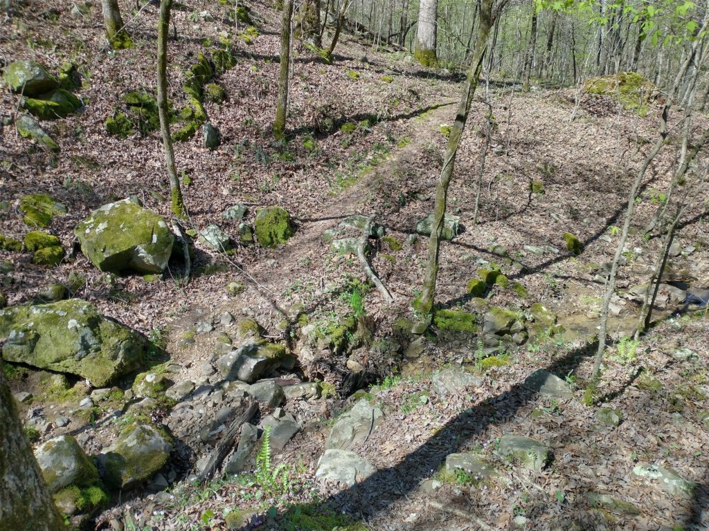 img_20230401_112338582_hdr.jpg