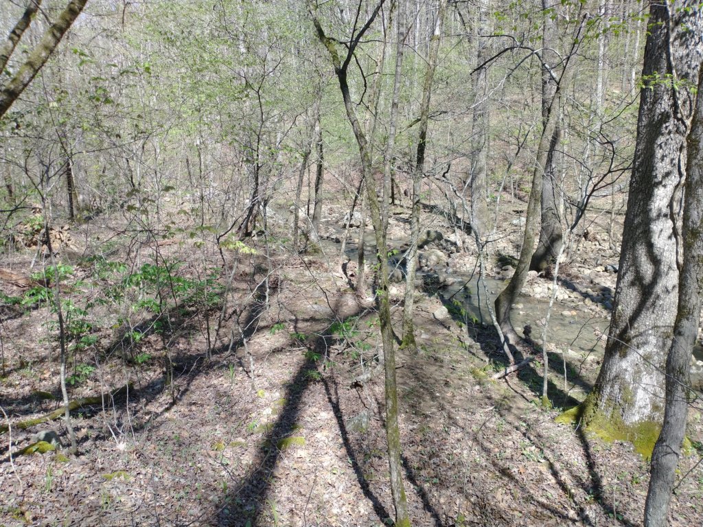 img_20230401_112620807.jpg