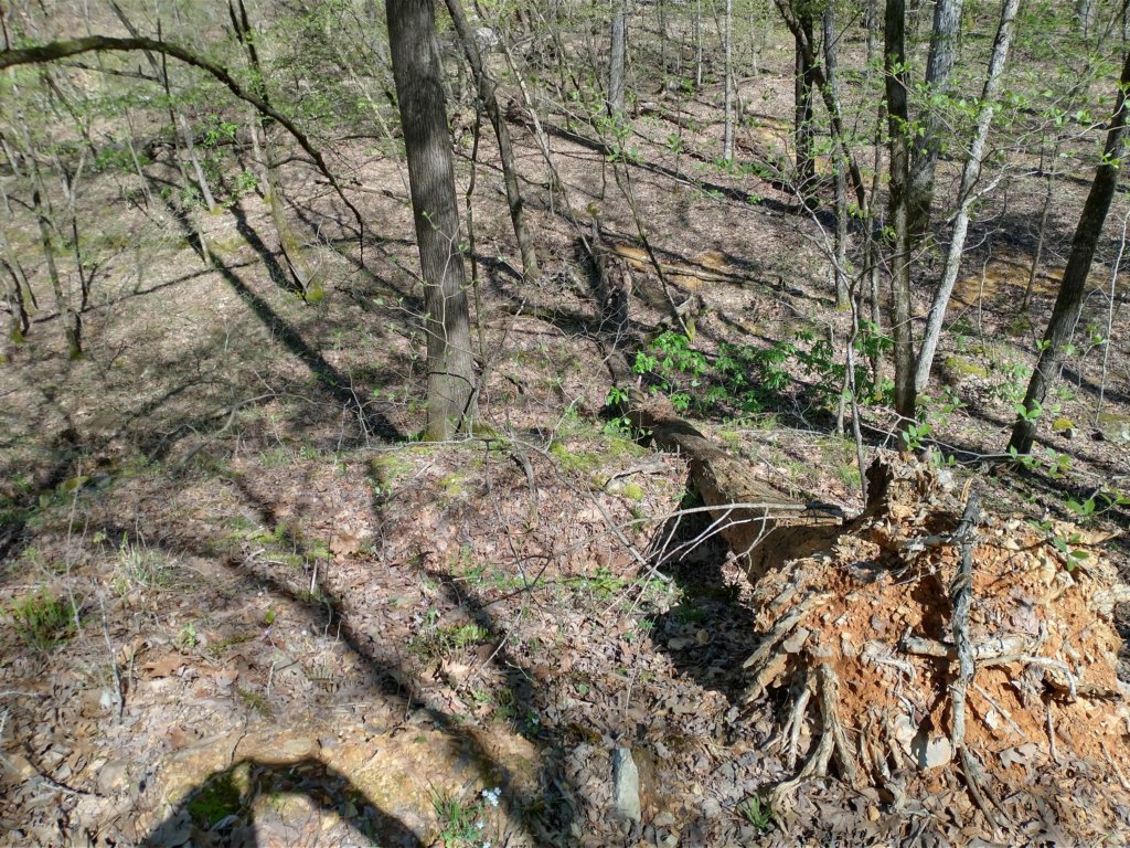 img_20230401_112740809_hdr.jpg