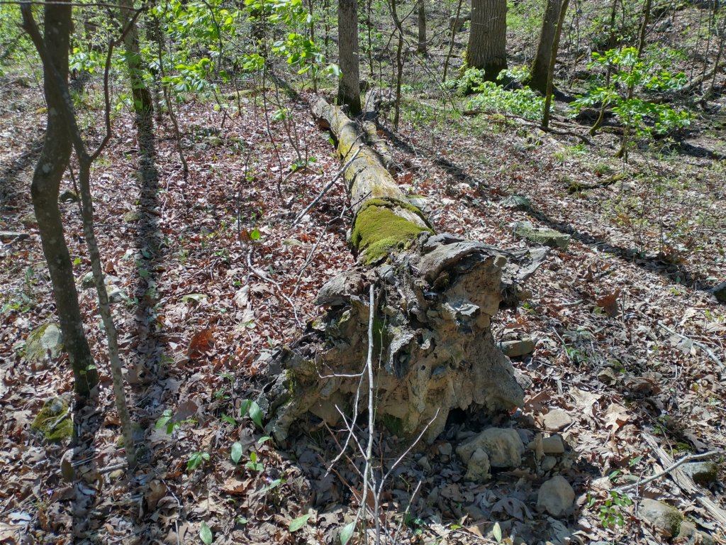 img_20230401_113519725_hdr.jpg