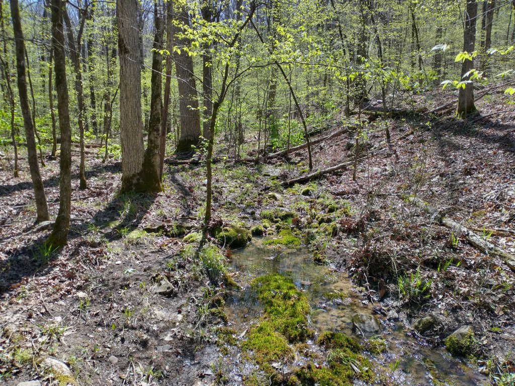 img_20230401_113545662_hdr.jpg