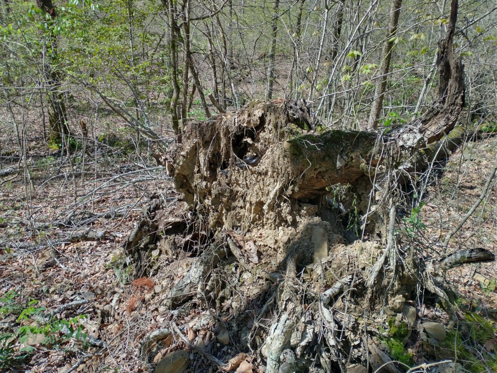 img_20230401_113933431_hdr.jpg