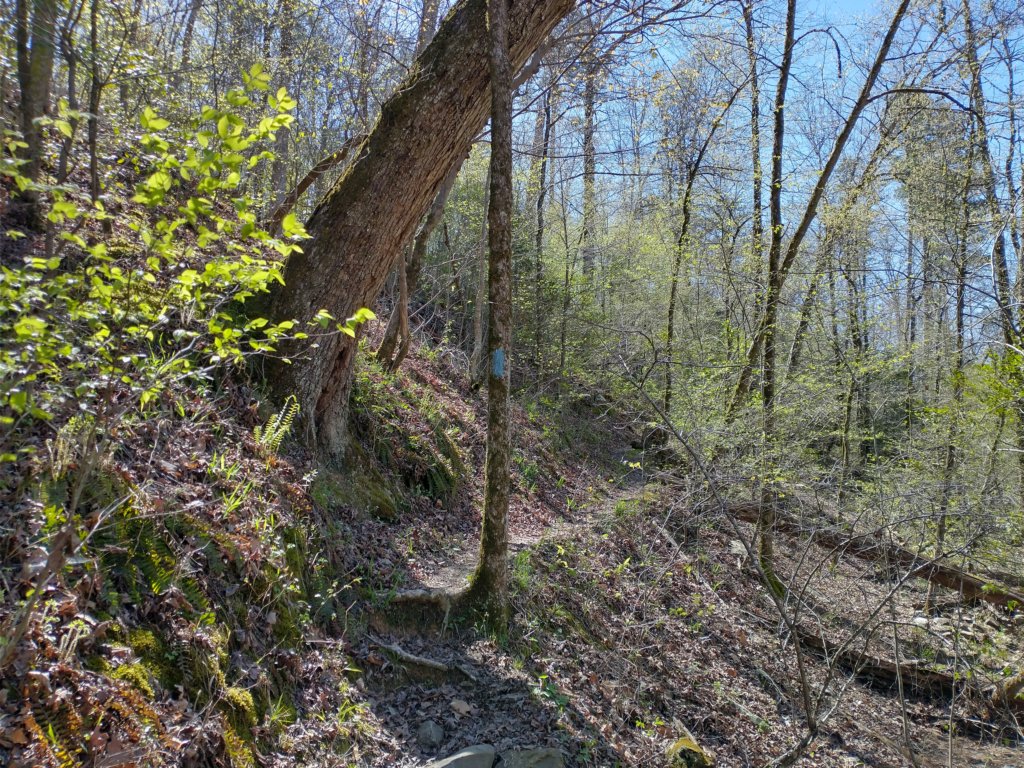 img_20230401_114312148_hdr.jpg