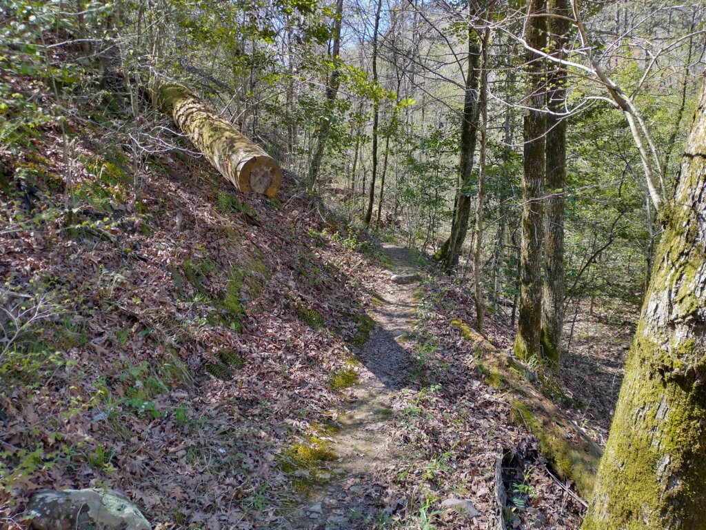 img_20230401_114344519_hdr.jpg