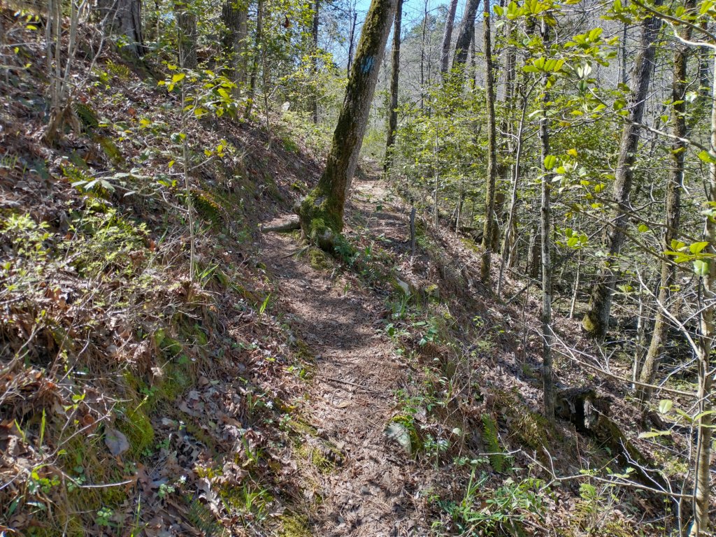 img_20230401_114428134_hdr.jpg