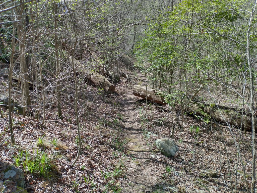 img_20230401_114732819_hdr.jpg