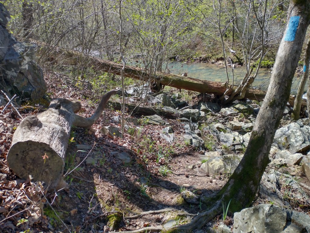 img_20230401_115200105_hdr.jpg