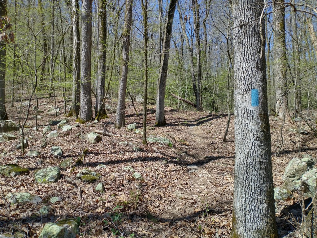 img_20230401_120427052_hdr.jpg