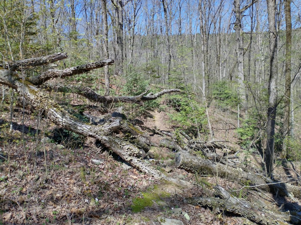 img_20230401_121153164_hdr.jpg