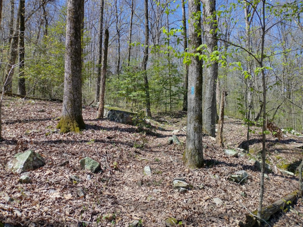 img_20230401_121349048_hdr.jpg