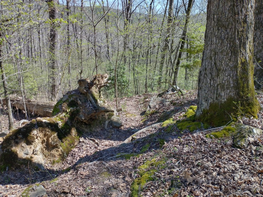 img_20230401_121505515_hdr.jpg