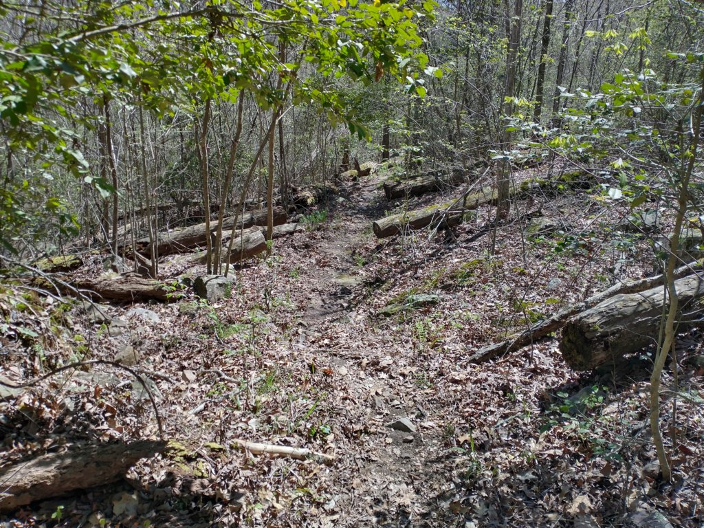 img_20230401_122104093_hdr.jpg