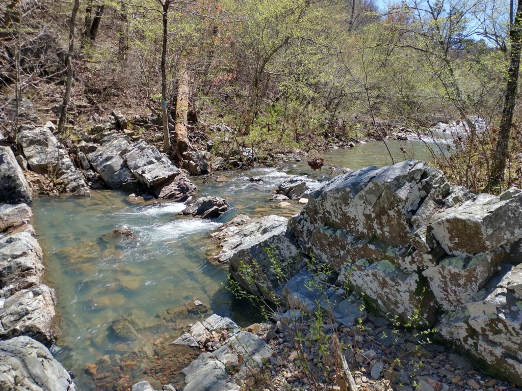 img_20230401_122353487_hdr.jpg