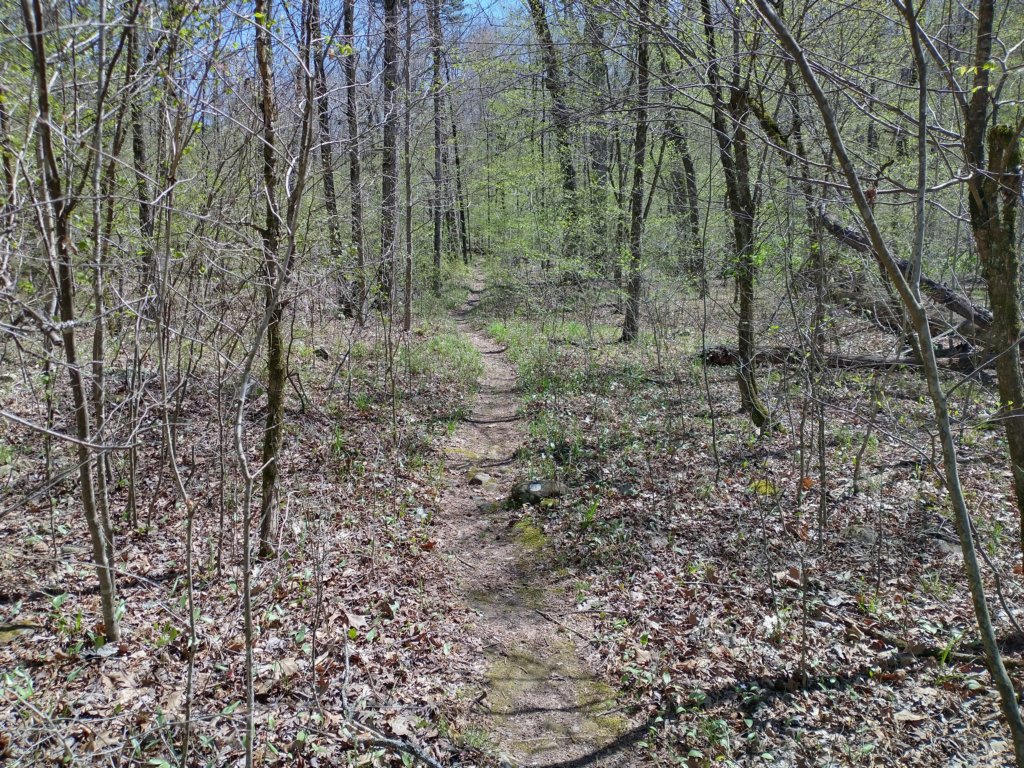 img_20230401_123611607_hdr.jpg