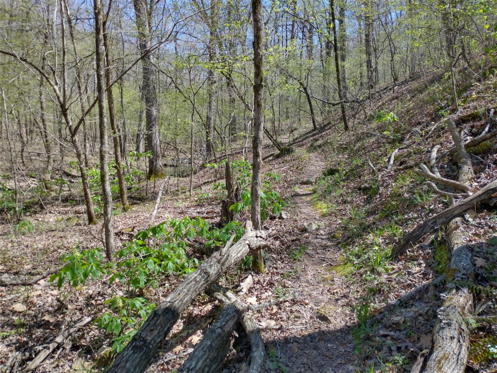 img_20230401_124614961_hdr.jpg